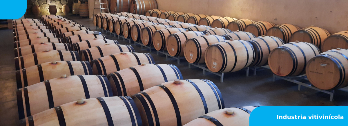 Industria vitivinícola slide 2
